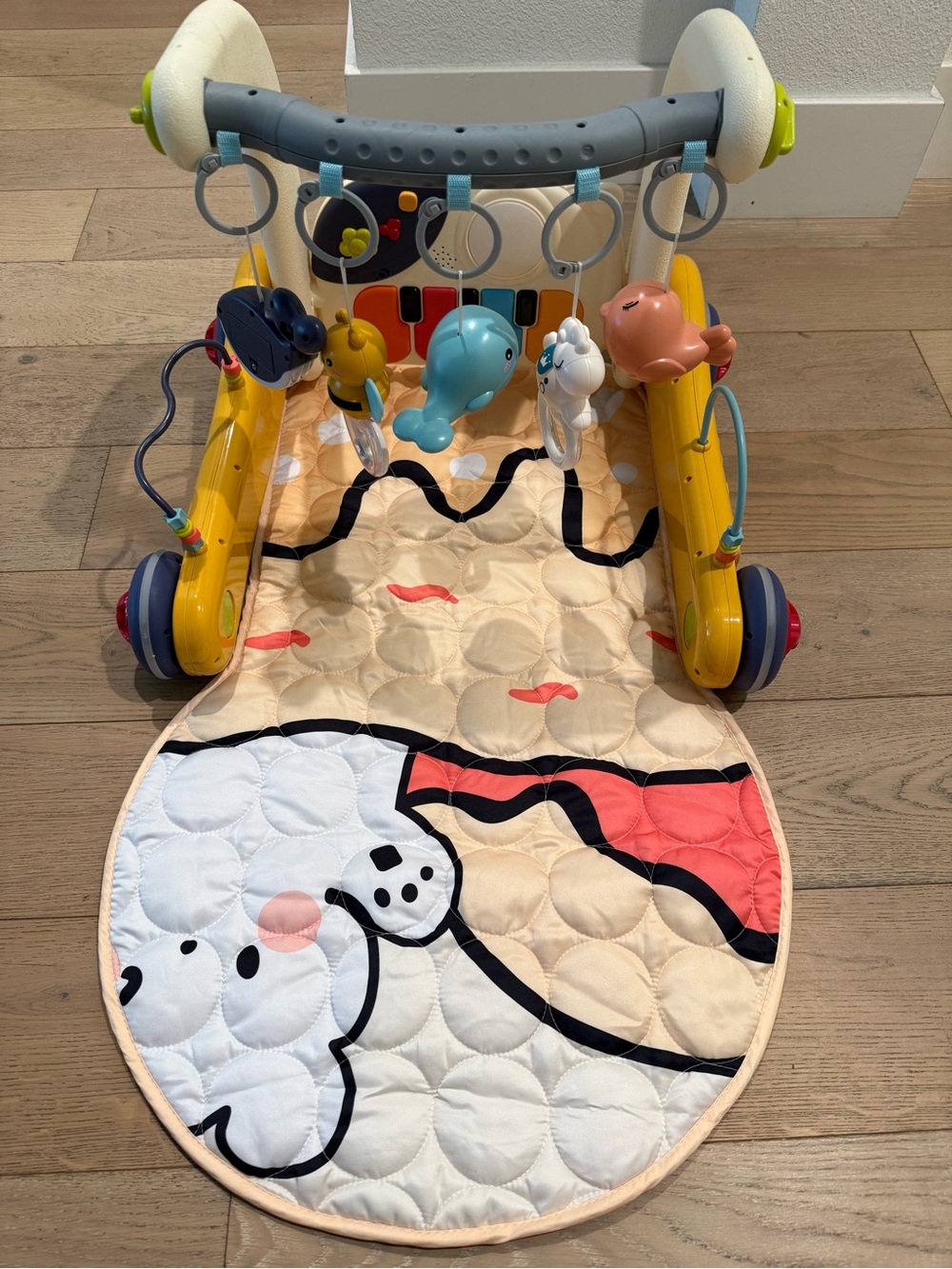 Baby Activity Play Gym plus Walker